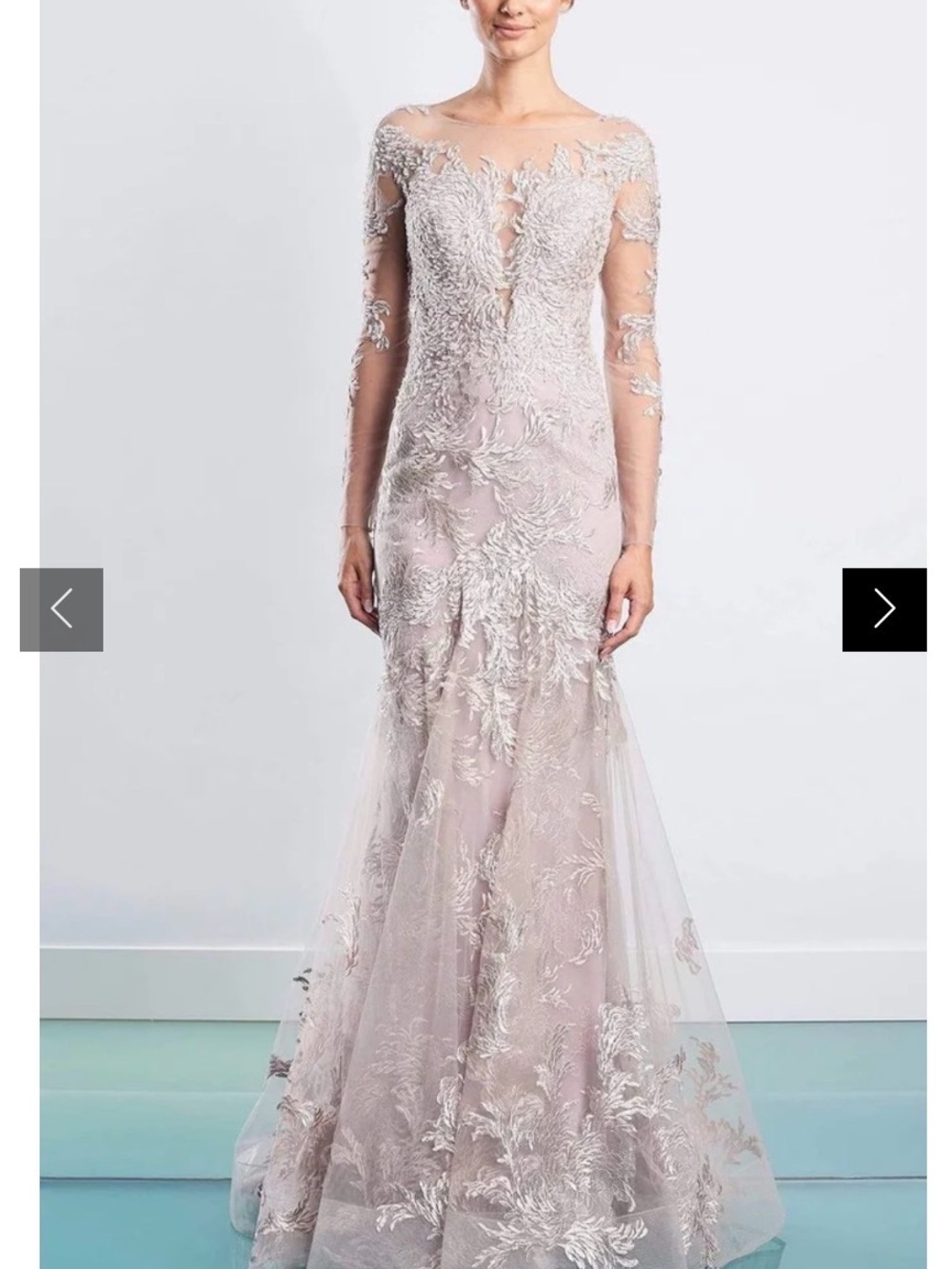 Mother of the Bride/Groom Long Sleeve Embroidered Tulle Evening Dress in Blush